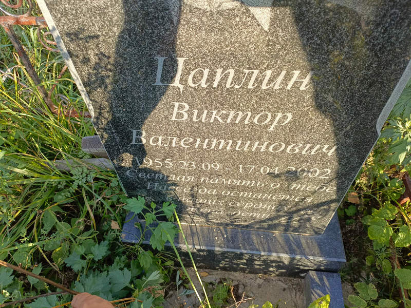 Цаплин