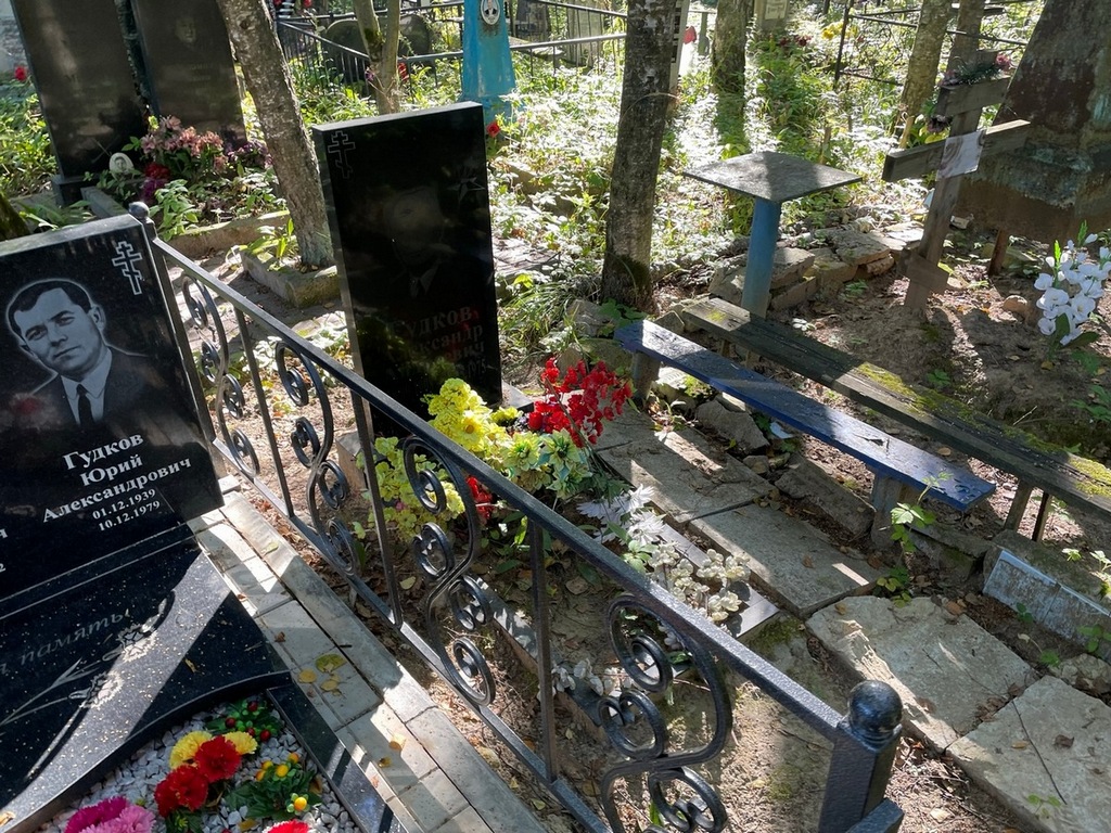 Гудков Александр Андреевич