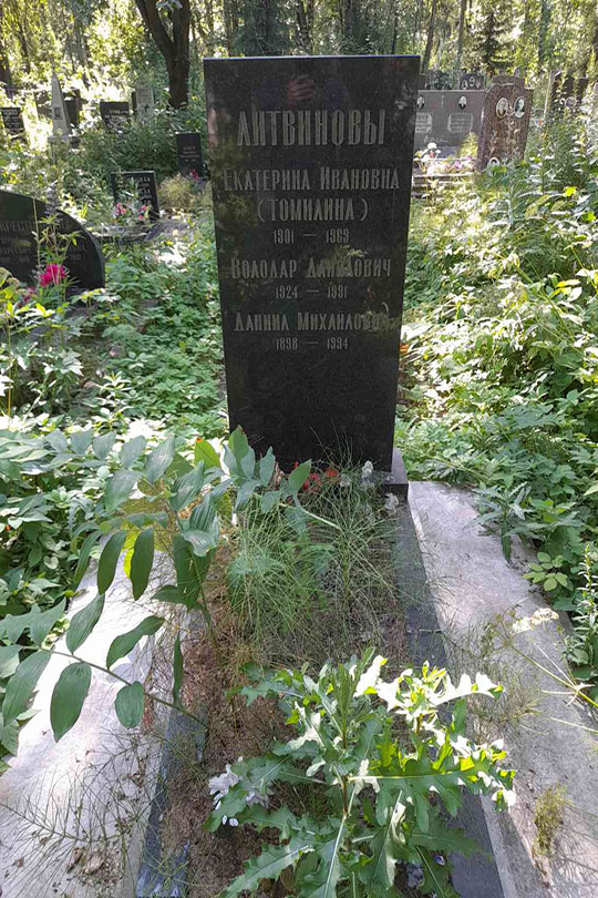 Литвинов Володар Данилович