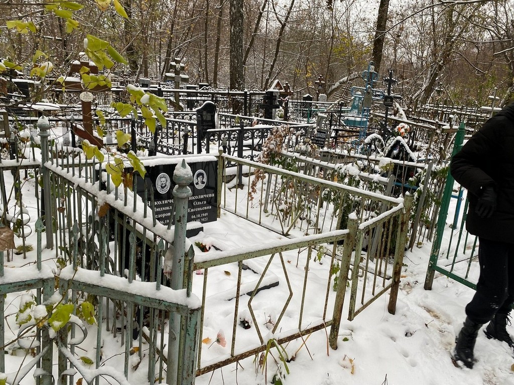 Николичева Ольга Евгеньевна