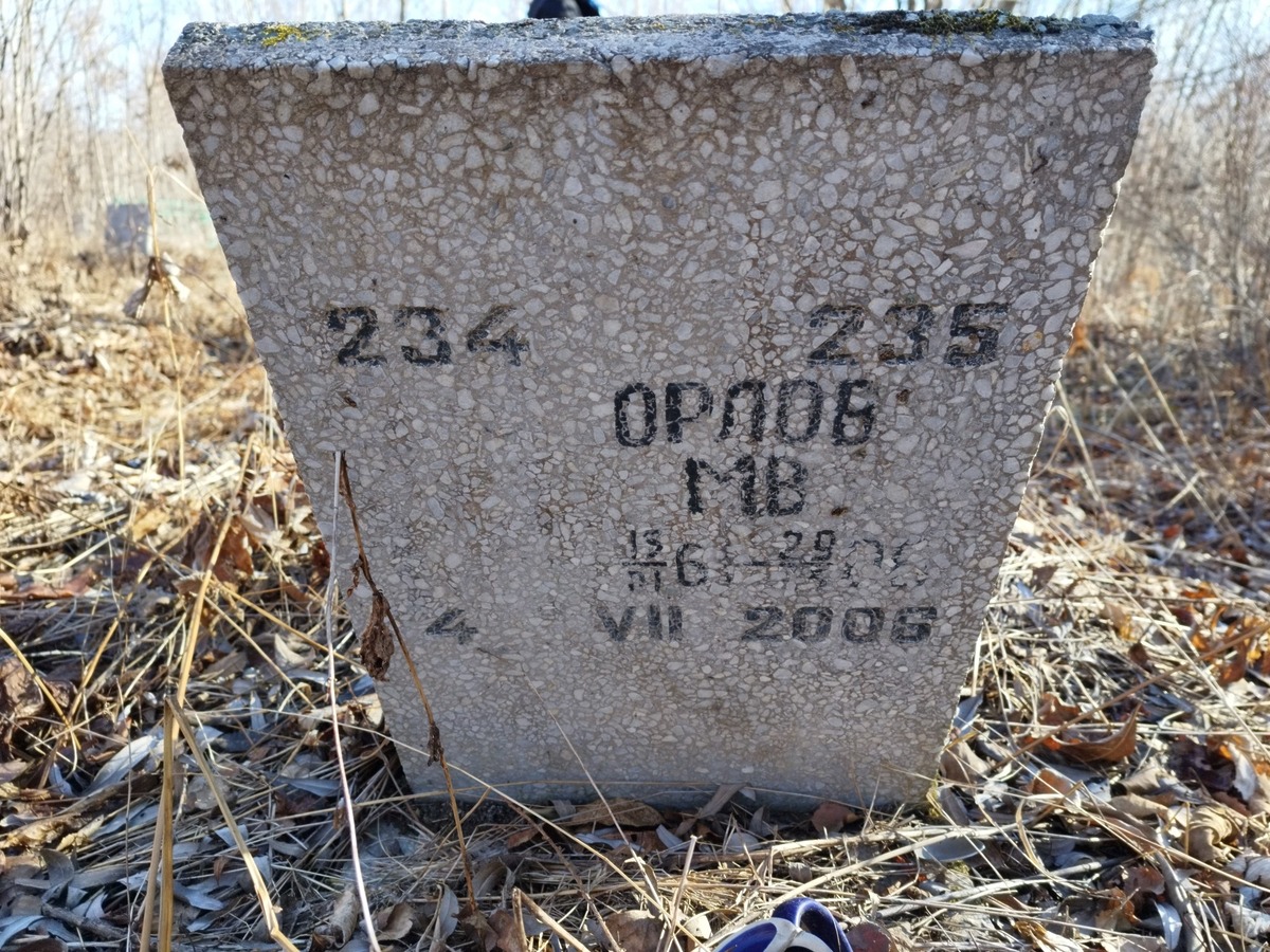 Орлов М В
