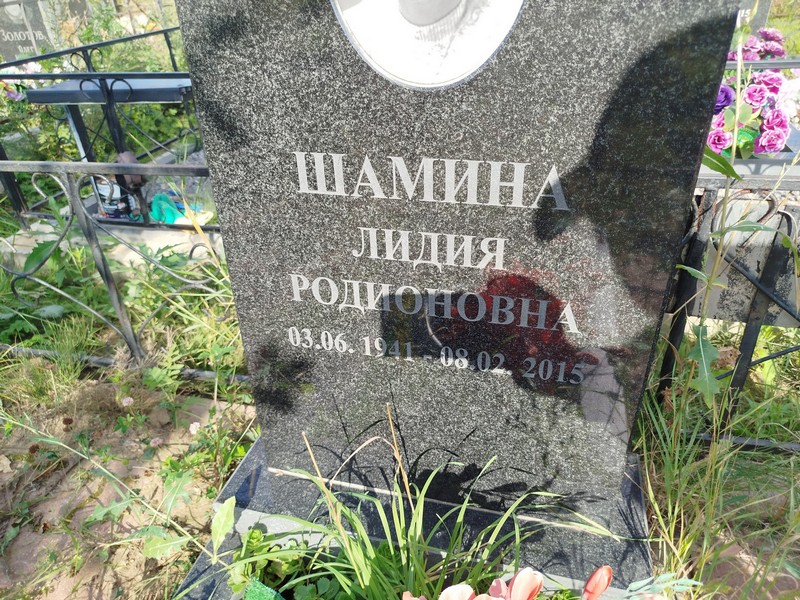 Шамина