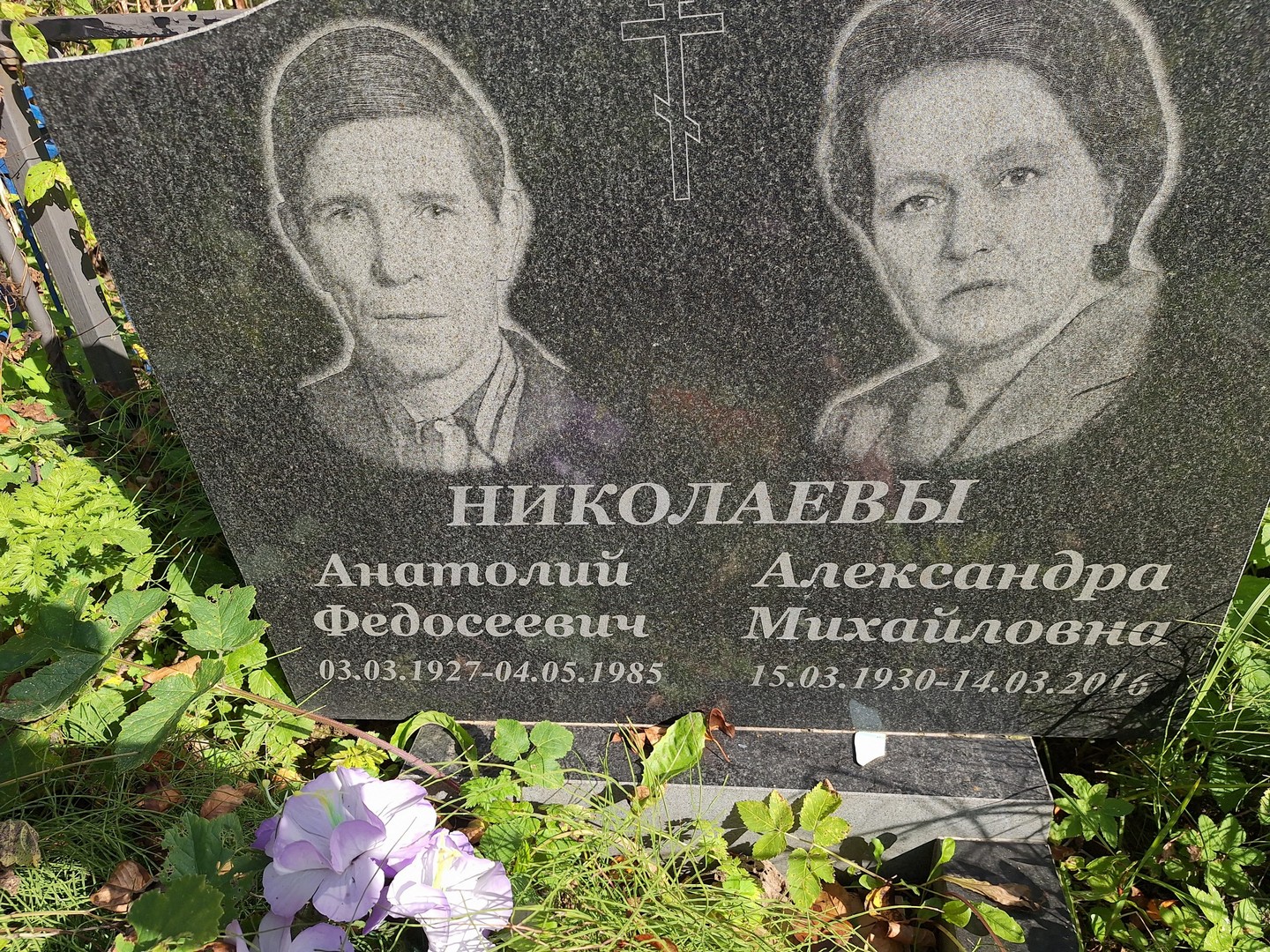Николаева Александра Михайловна