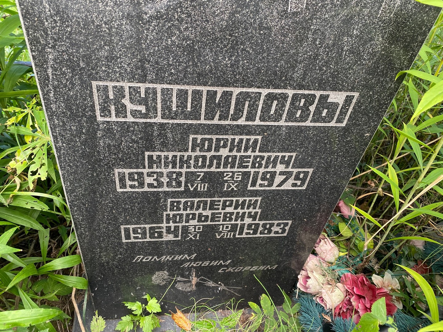 Кушилов