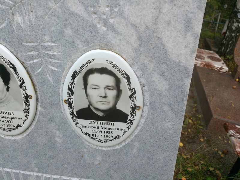 Лугинин