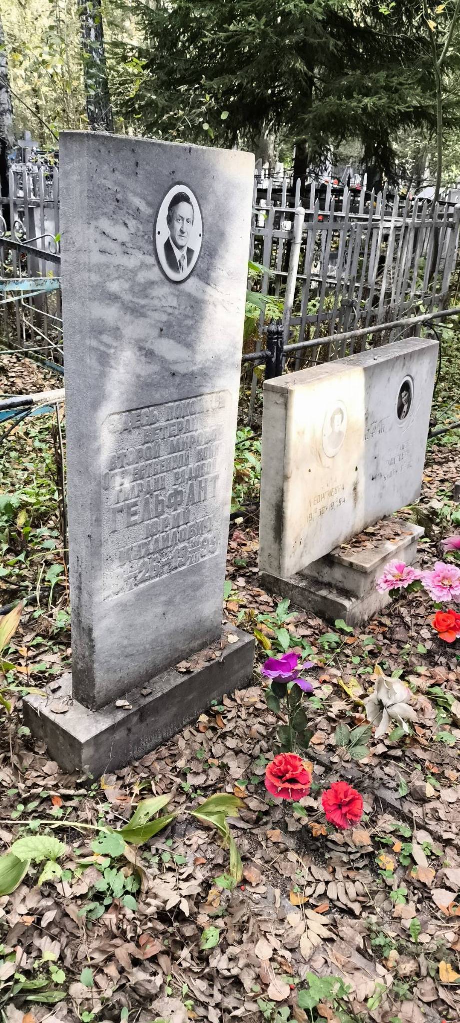 Гельфант Юрий Михайлович