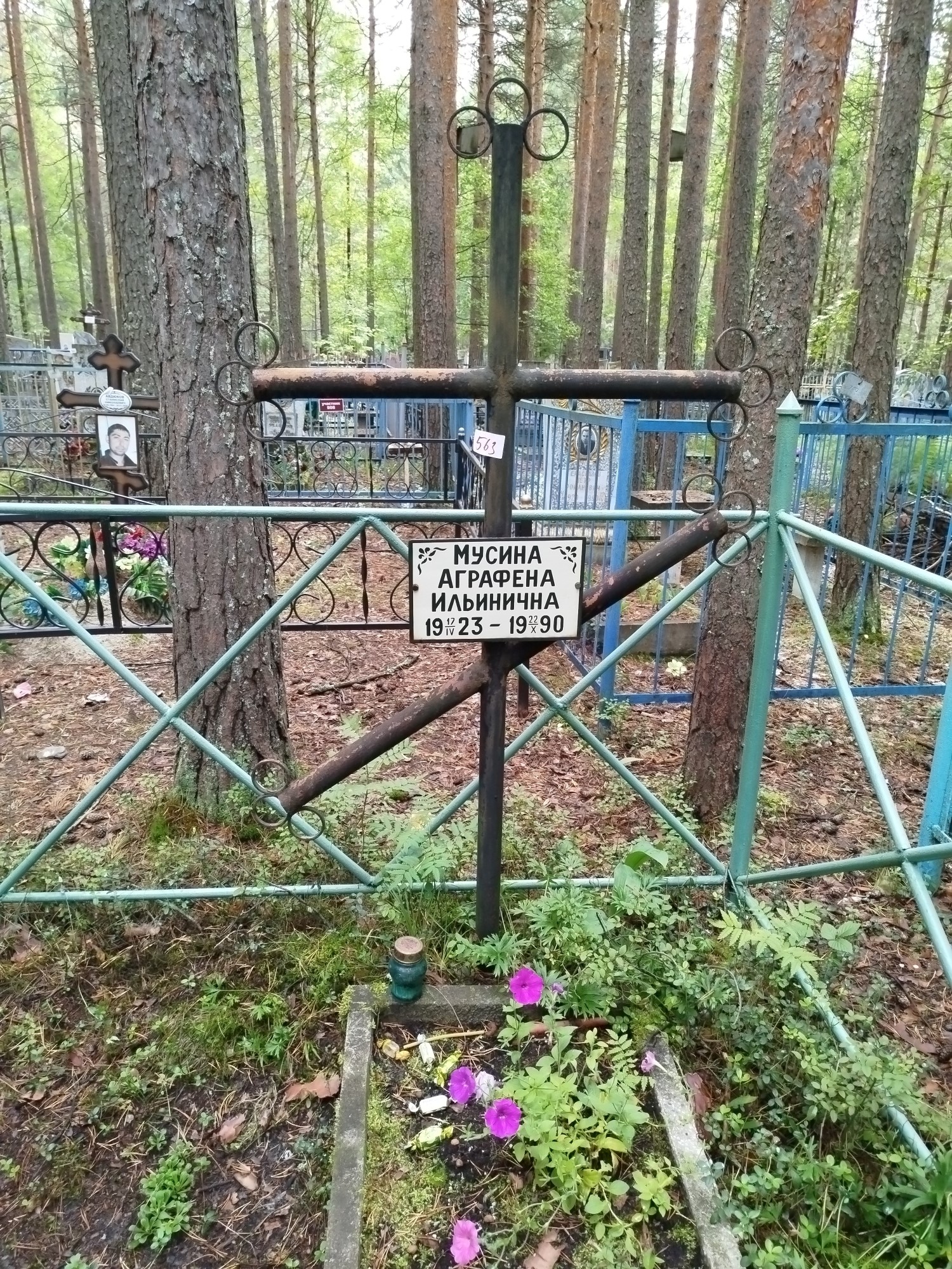 Мусина Аграфена Ильинична