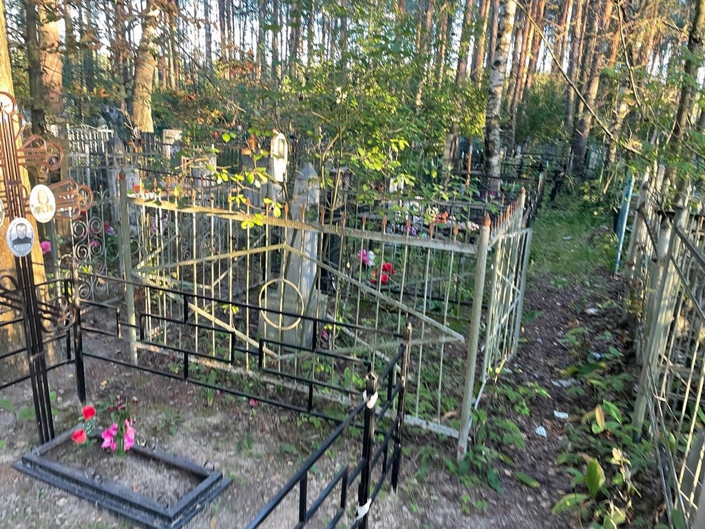 Володькина Анастасия Петровна