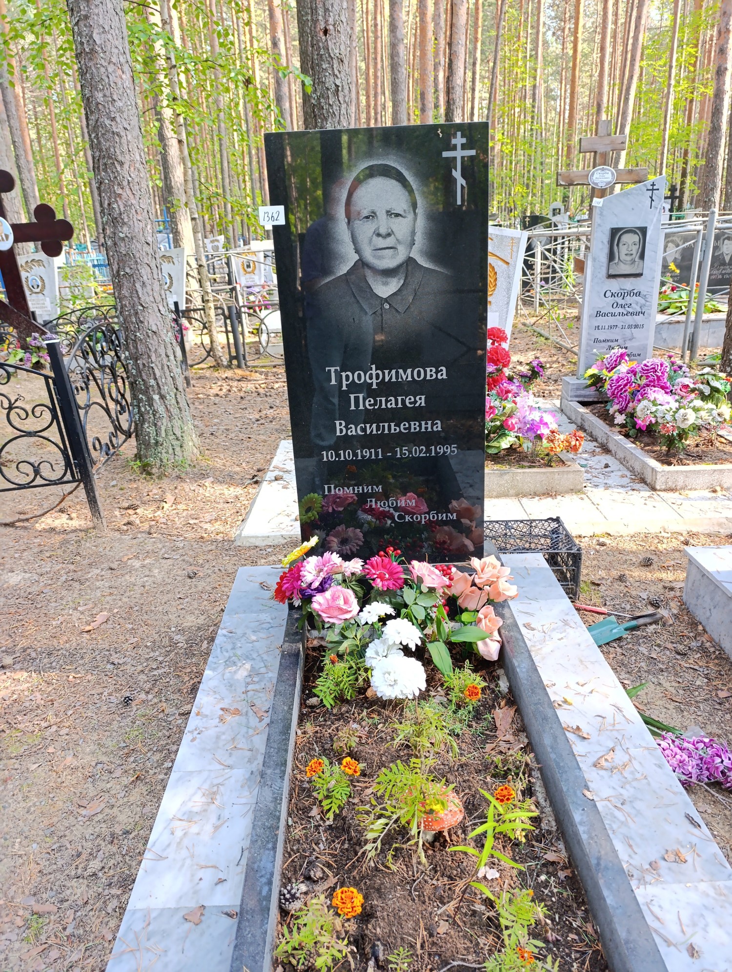 Трофимова Пелагея Васильевна