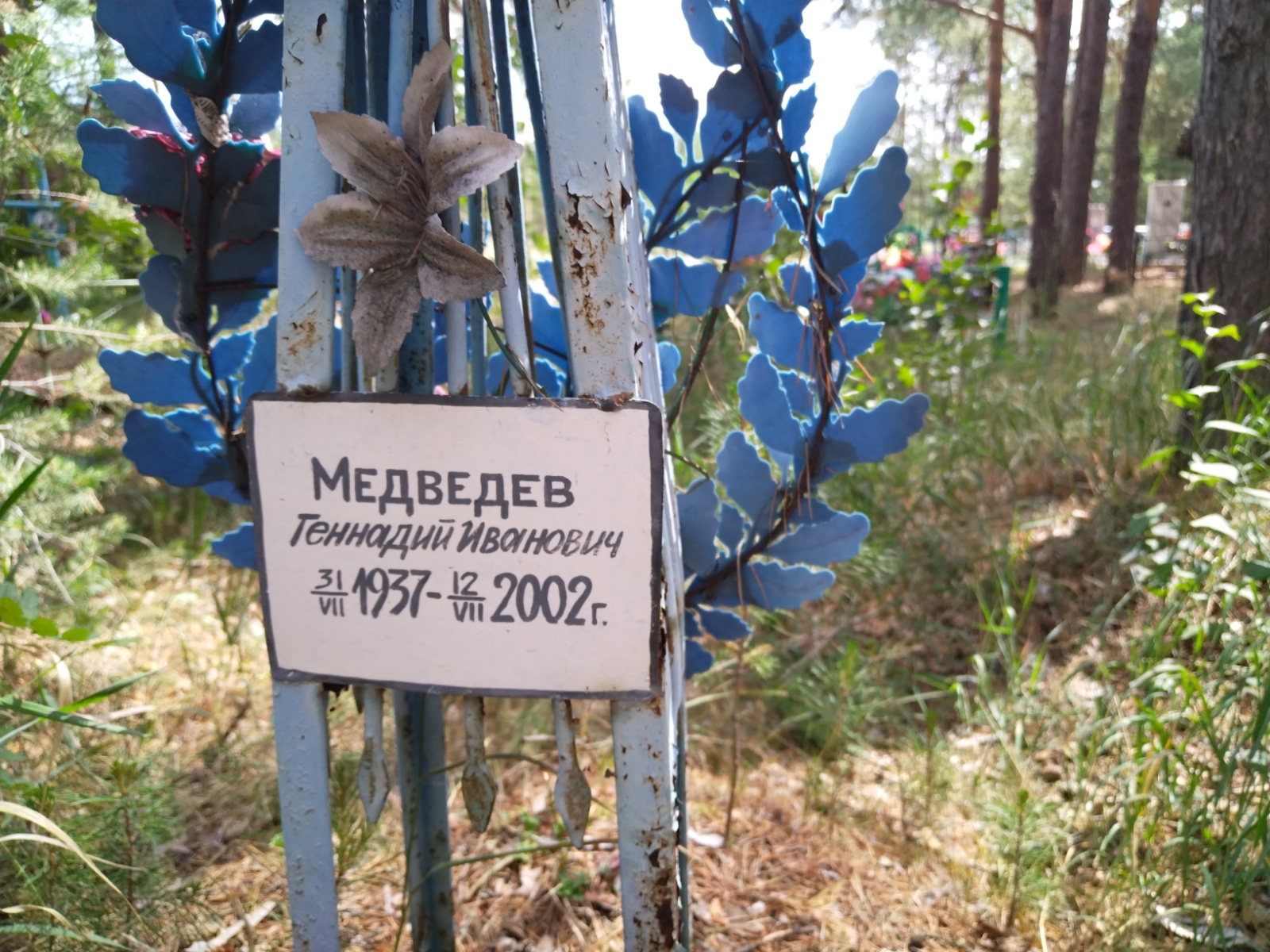 Медведев Геннадий Иванович