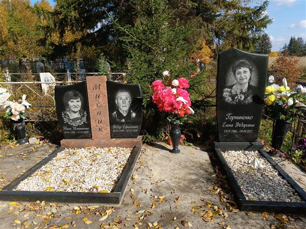 Мисник Нина Ильинична