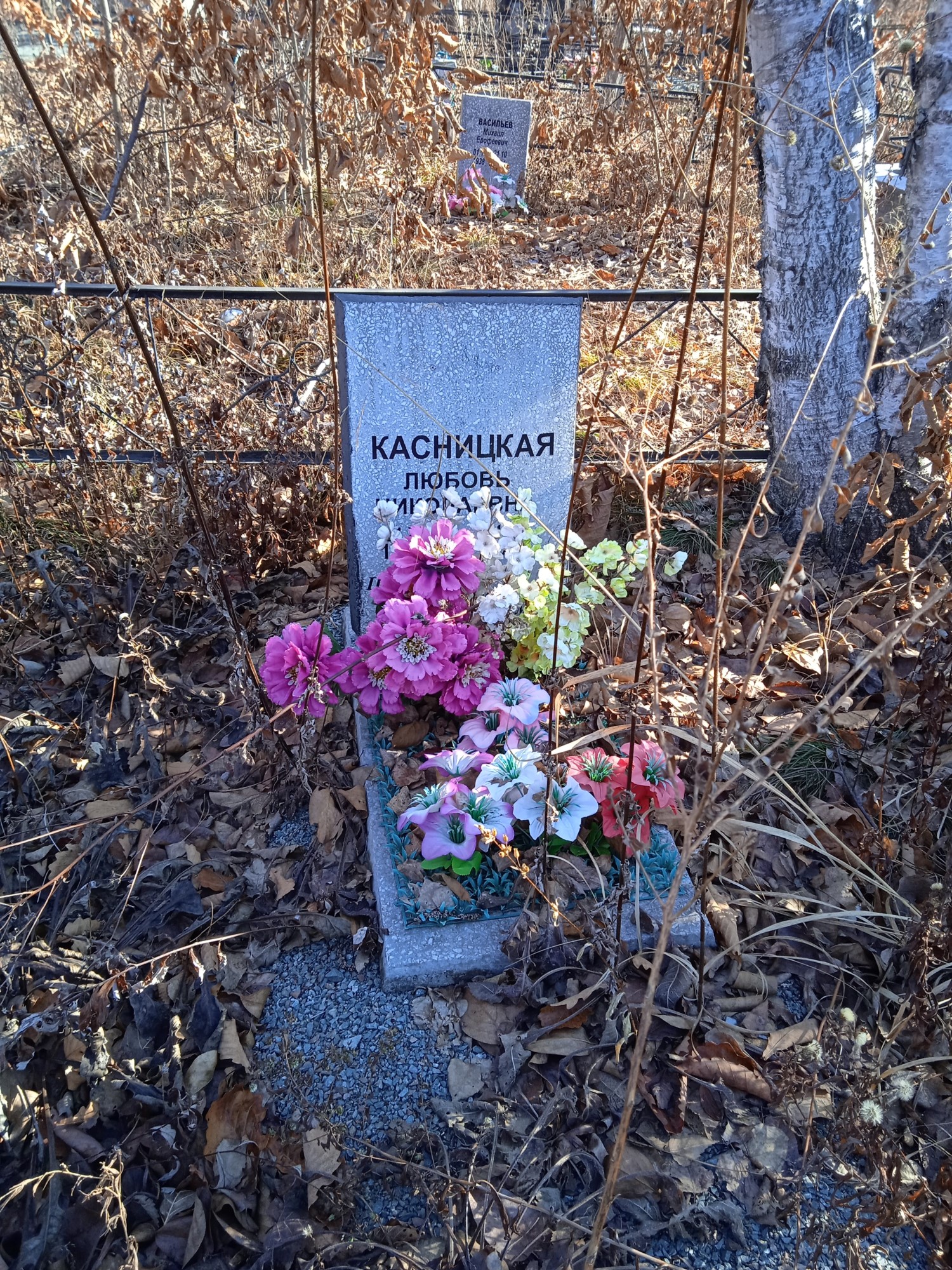 Касницкая Любовь Николаевна