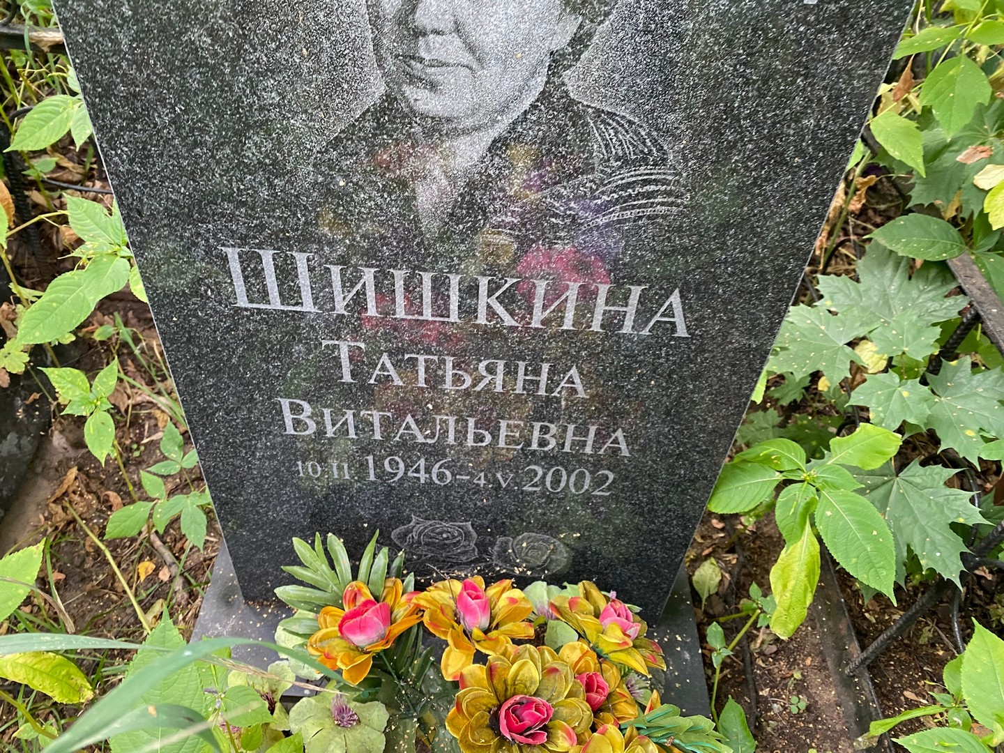 Шишкина