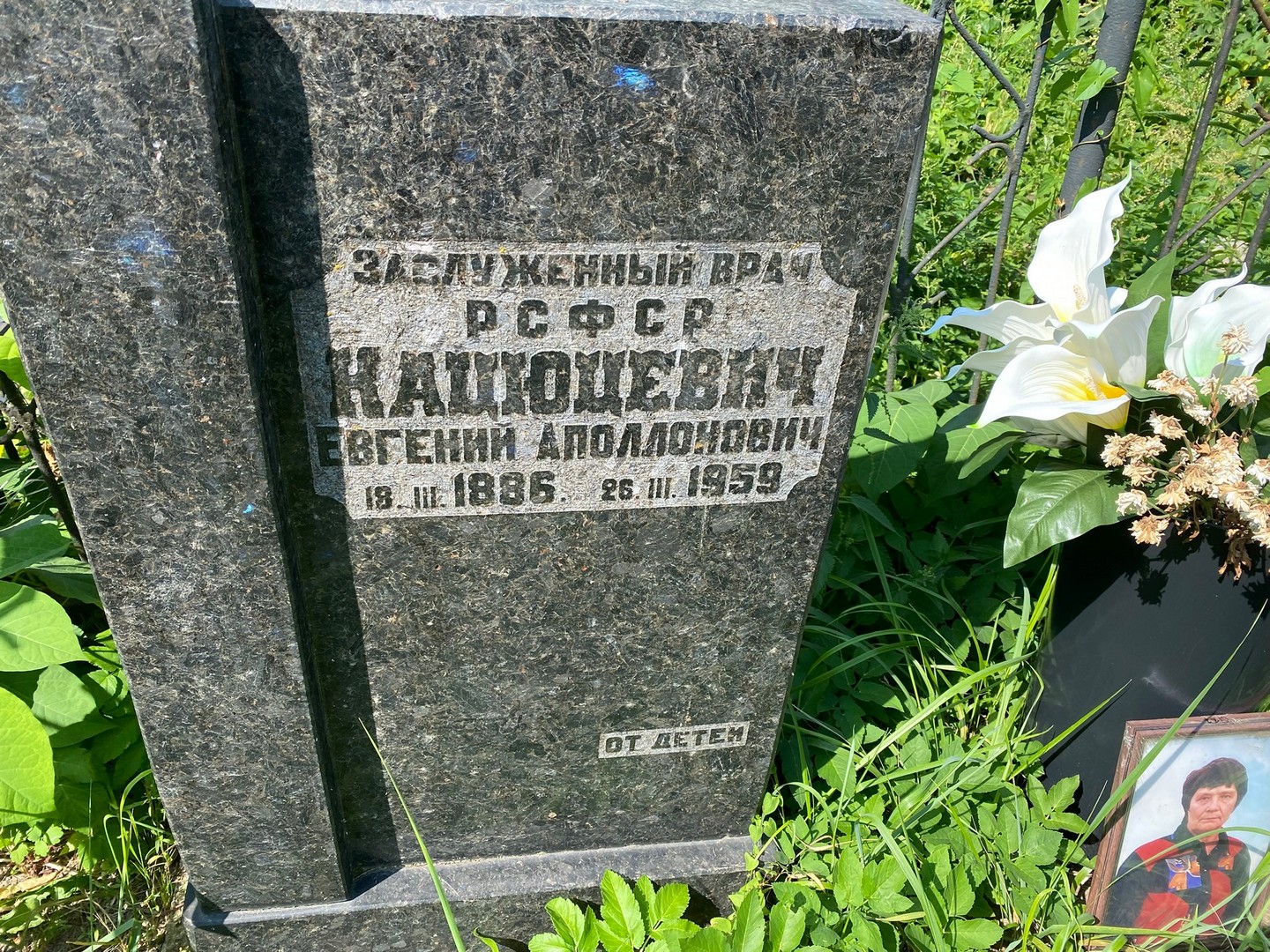 Кацюцевич