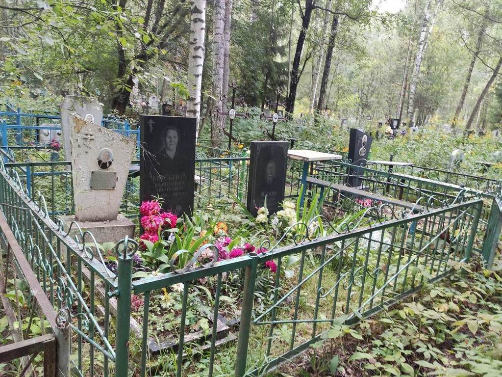 Маскин Анатолий Николаевич