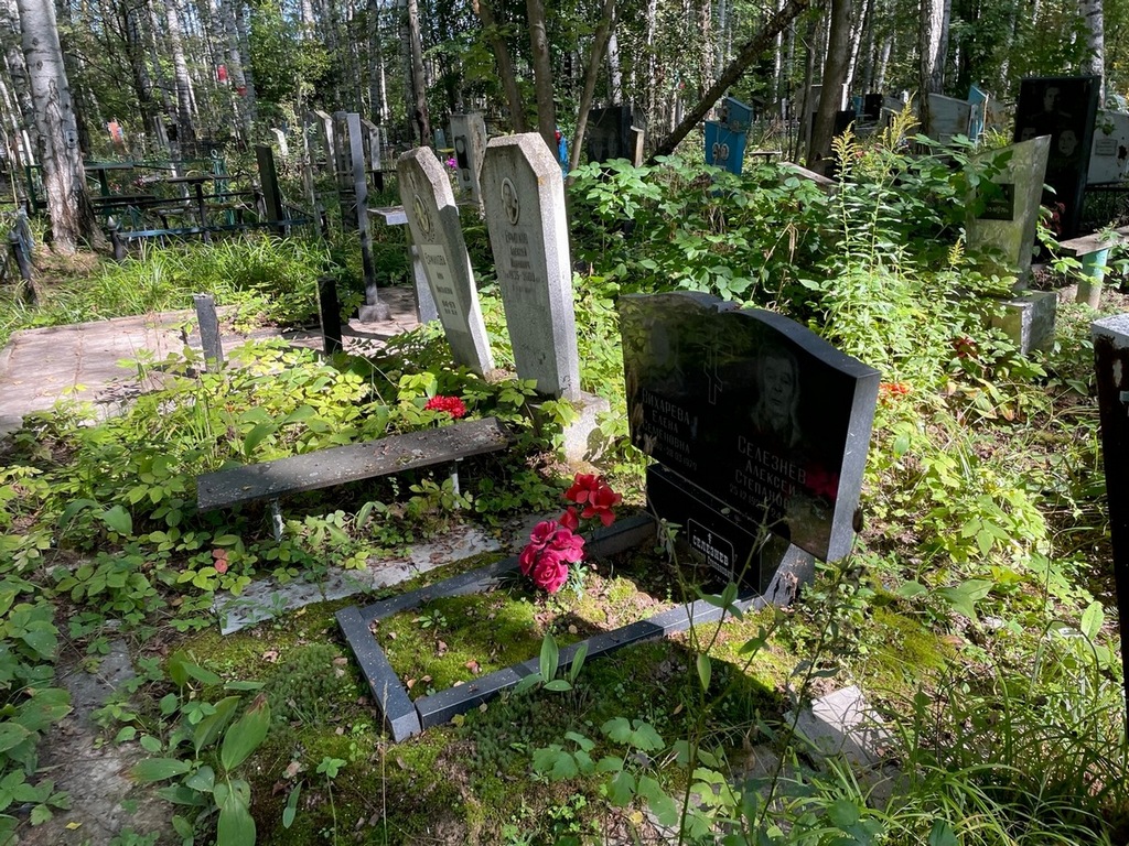 Селезнев Алексей Степанович