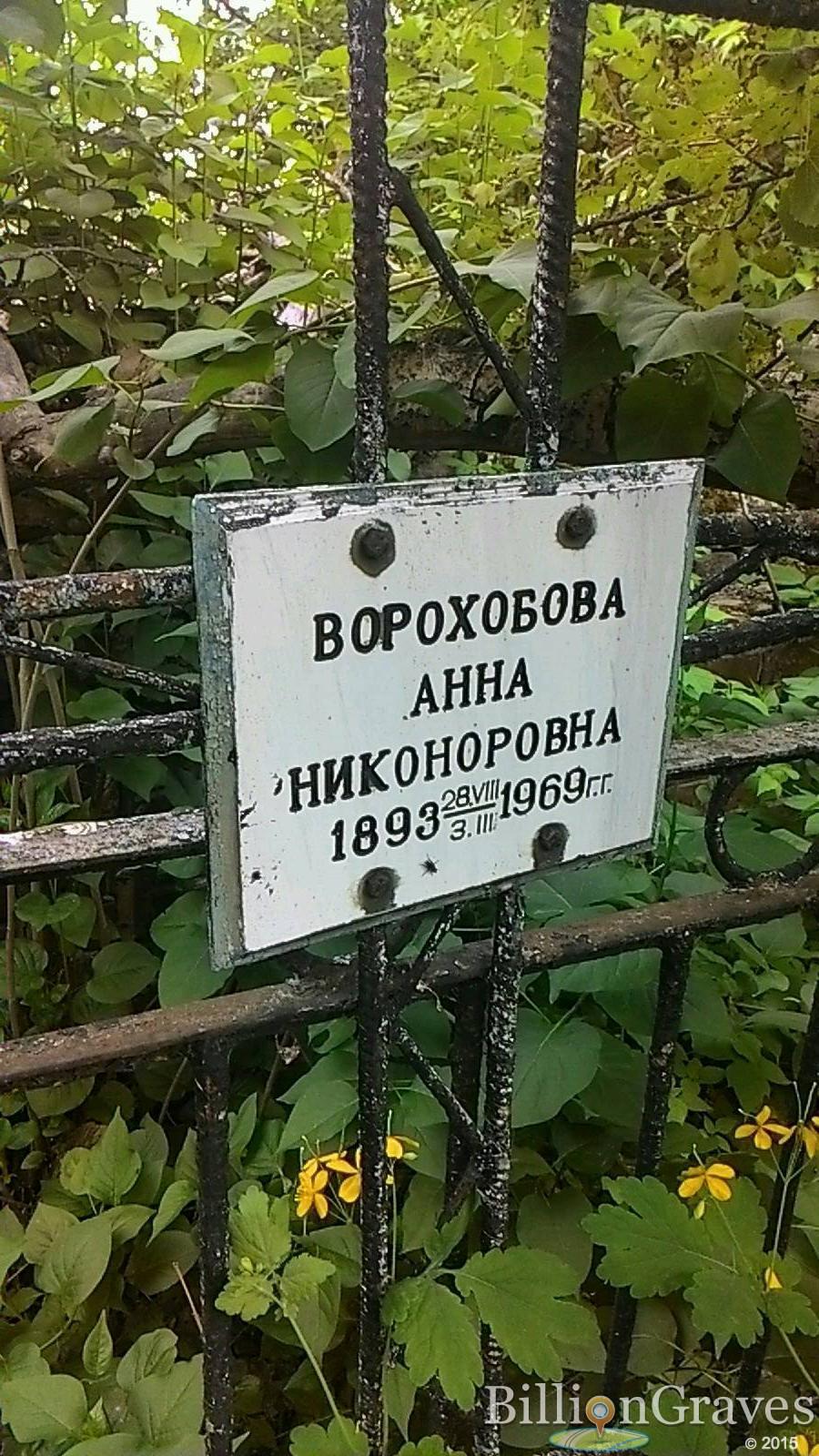 Ворохобова Анна Никонорова