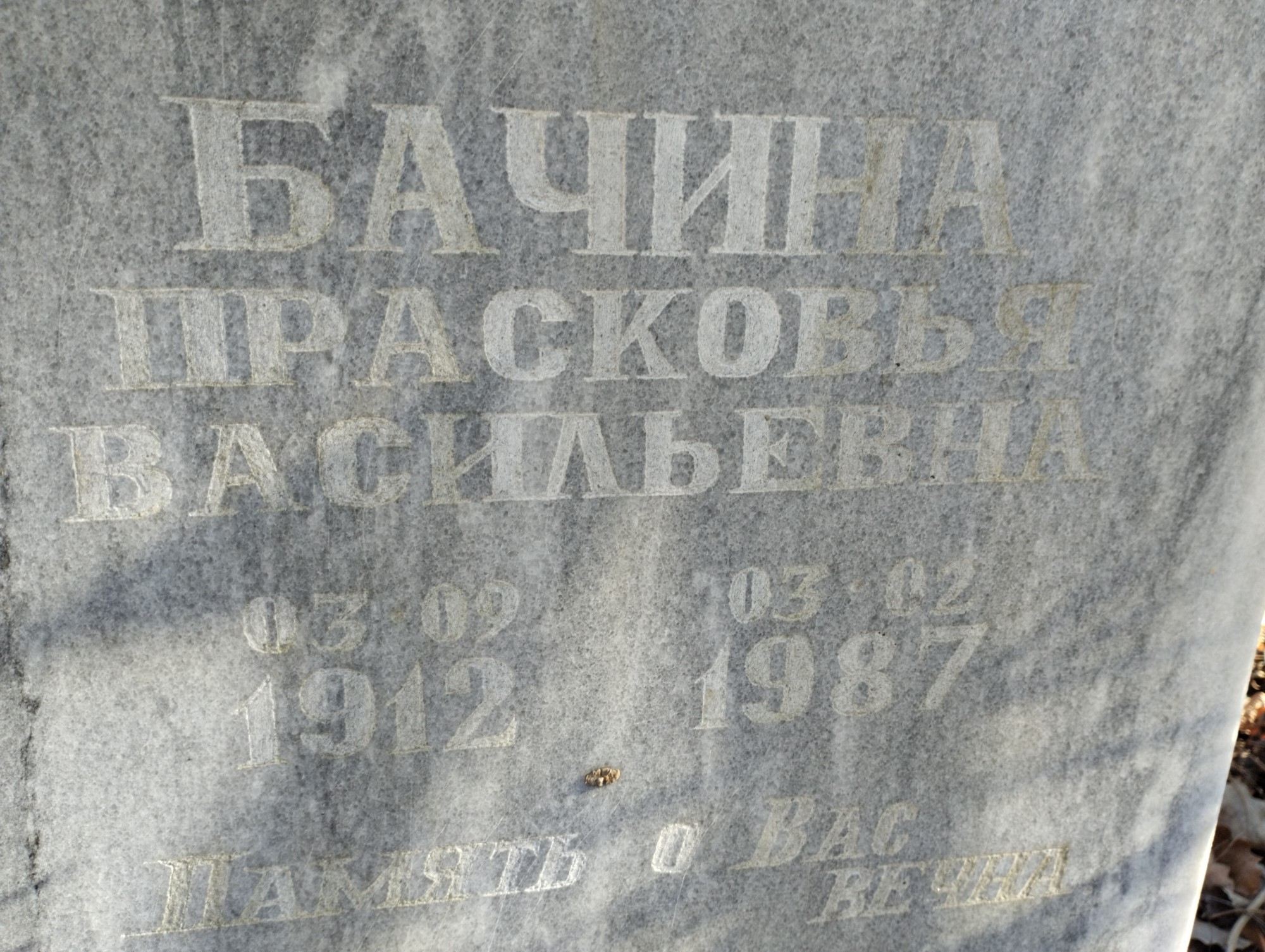 Бачина Прасковья Васильевна