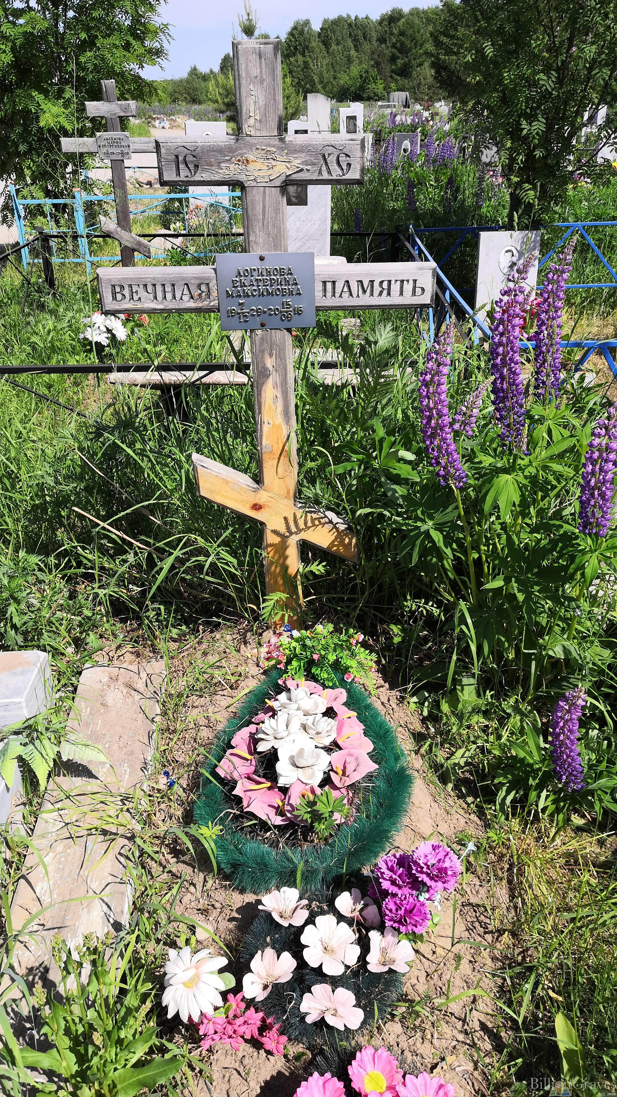 Логинова Екатерина Максимовна