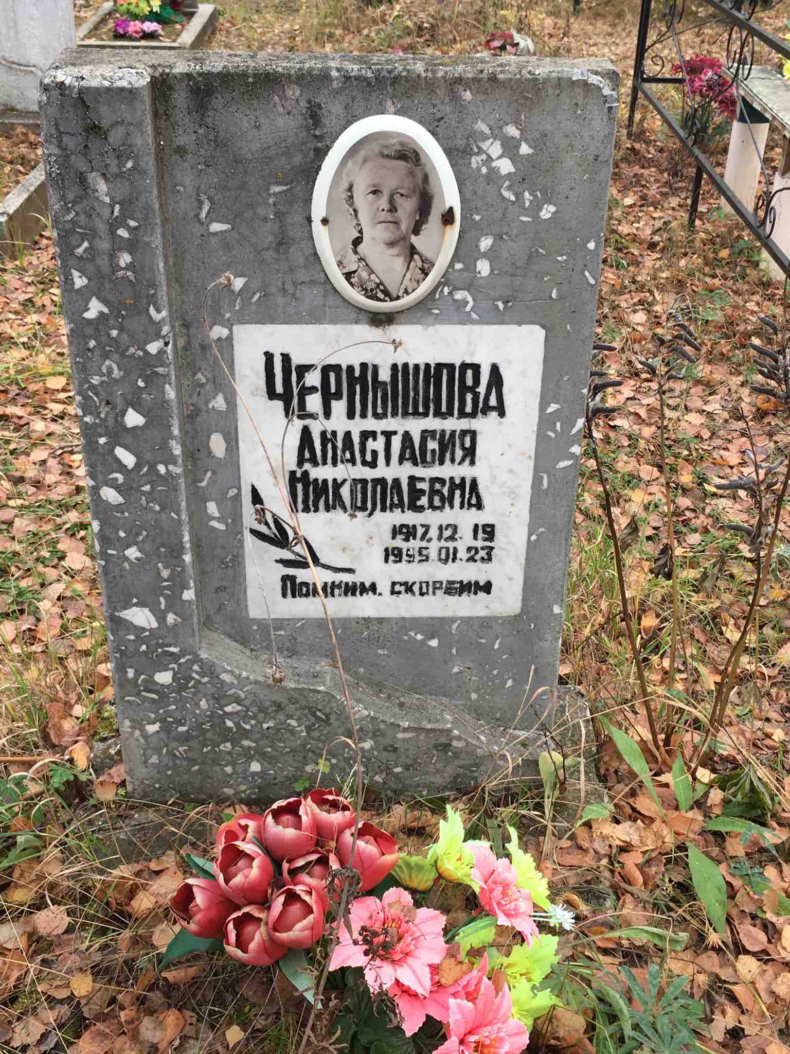 Чернышова Анастасия Николаевна