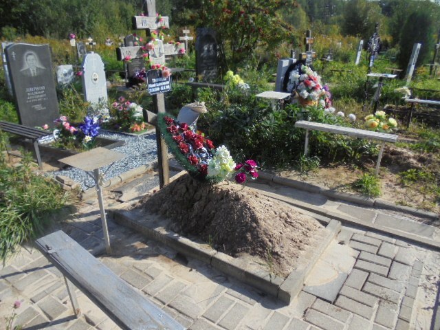 Тимохина Анна Николаевна