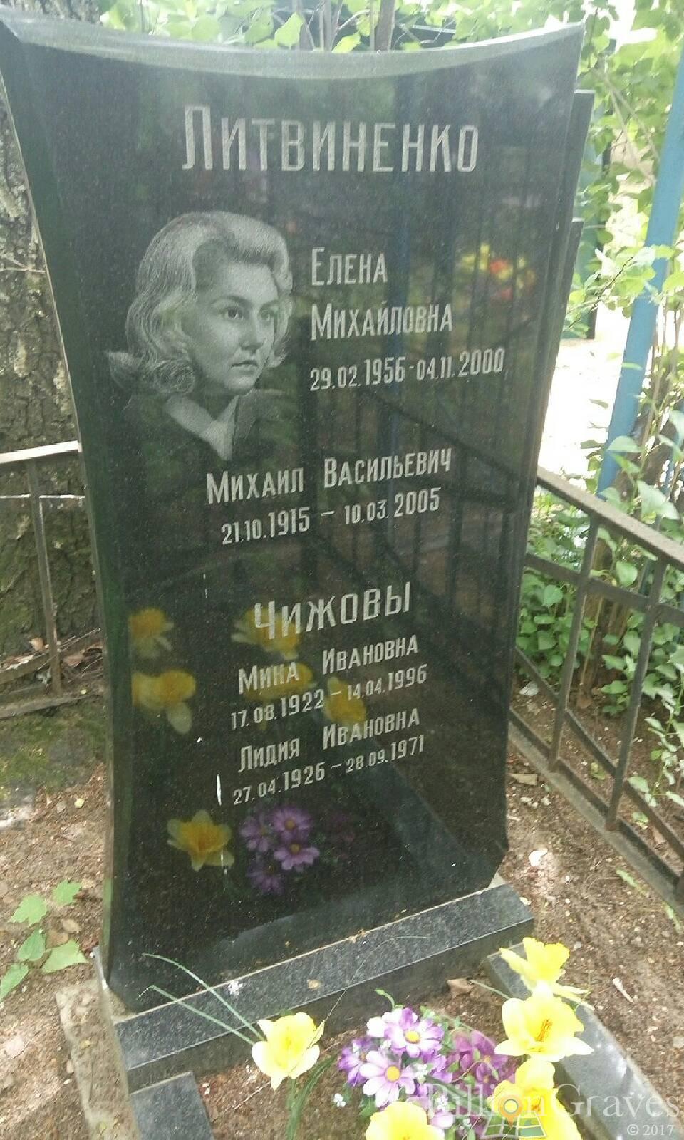 Литвиненко Михаил Васильевич