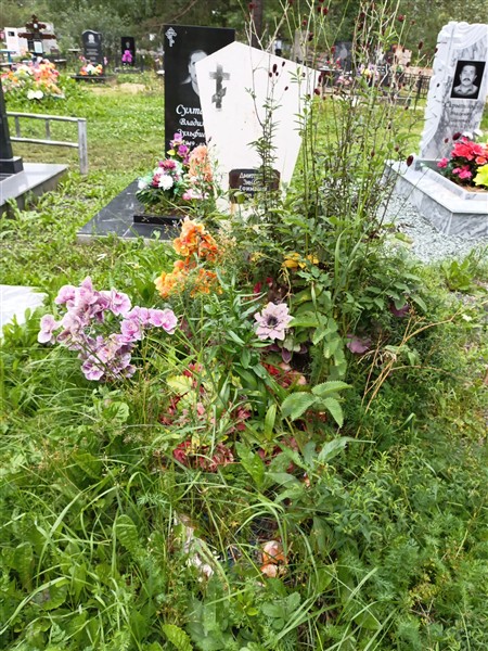 Дмитриева Зинаида Ефимовна