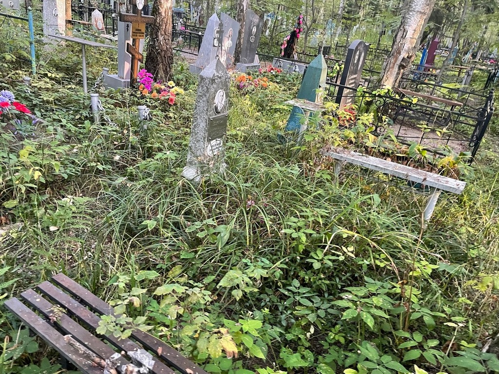 Волгина Александра Михайловна