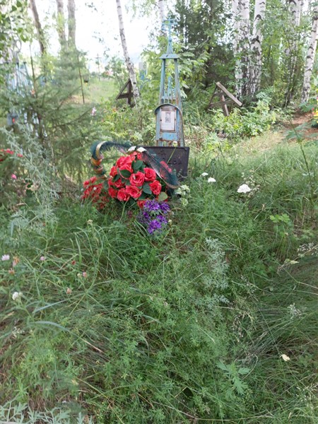 Ширяева Н. П.