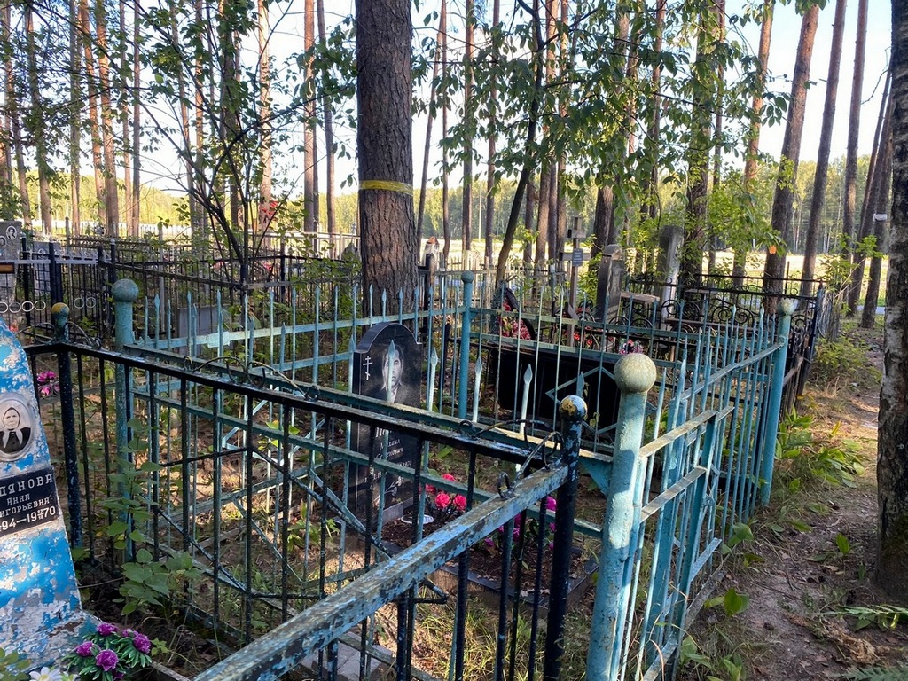 Пестов Михаил Семенович