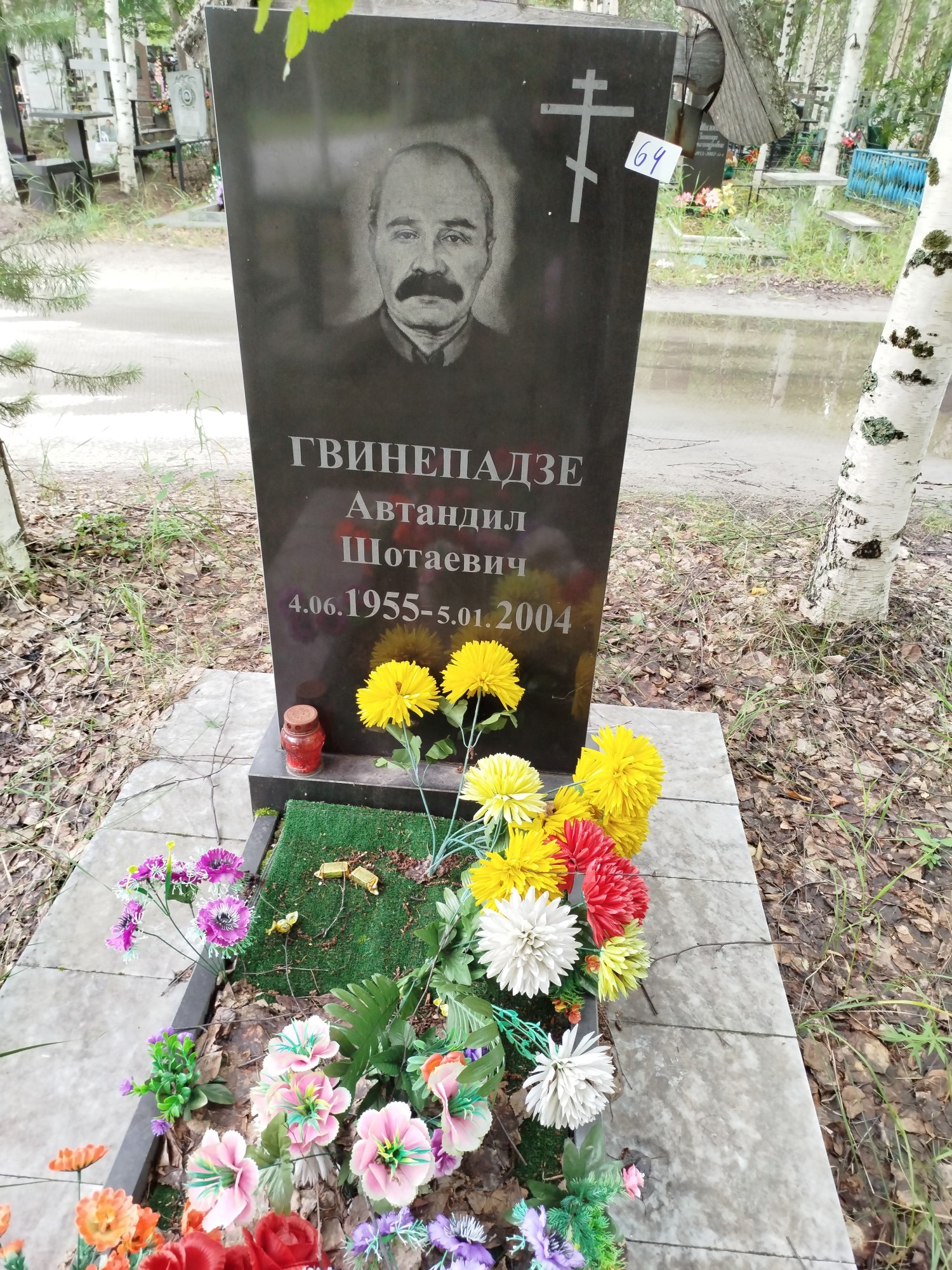 Гвинепадзе Автандил Шотаевич