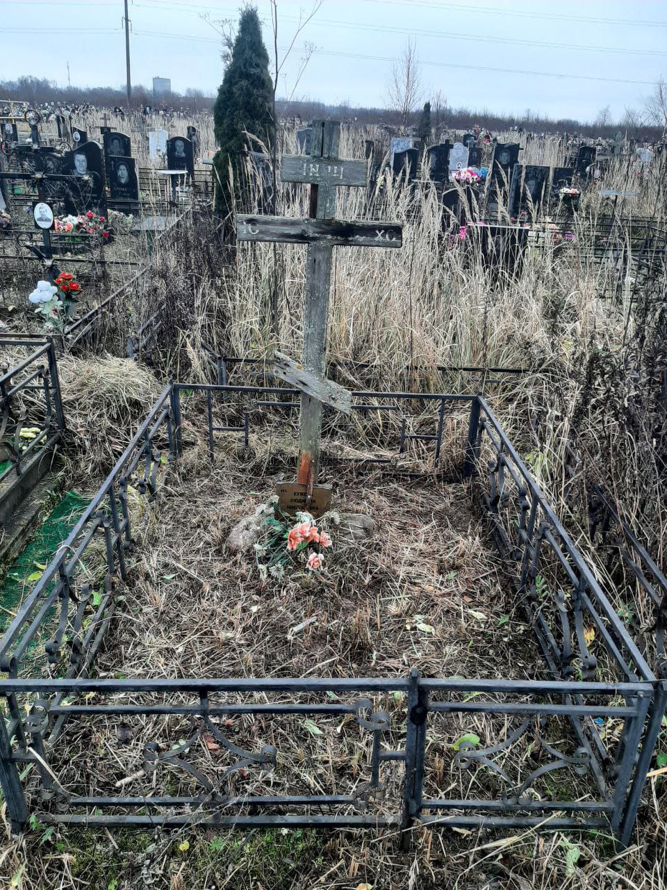 Кужель