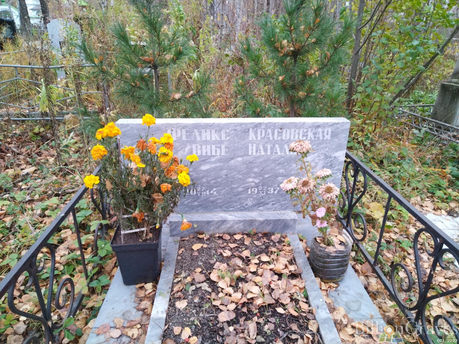 Вибе Феликс