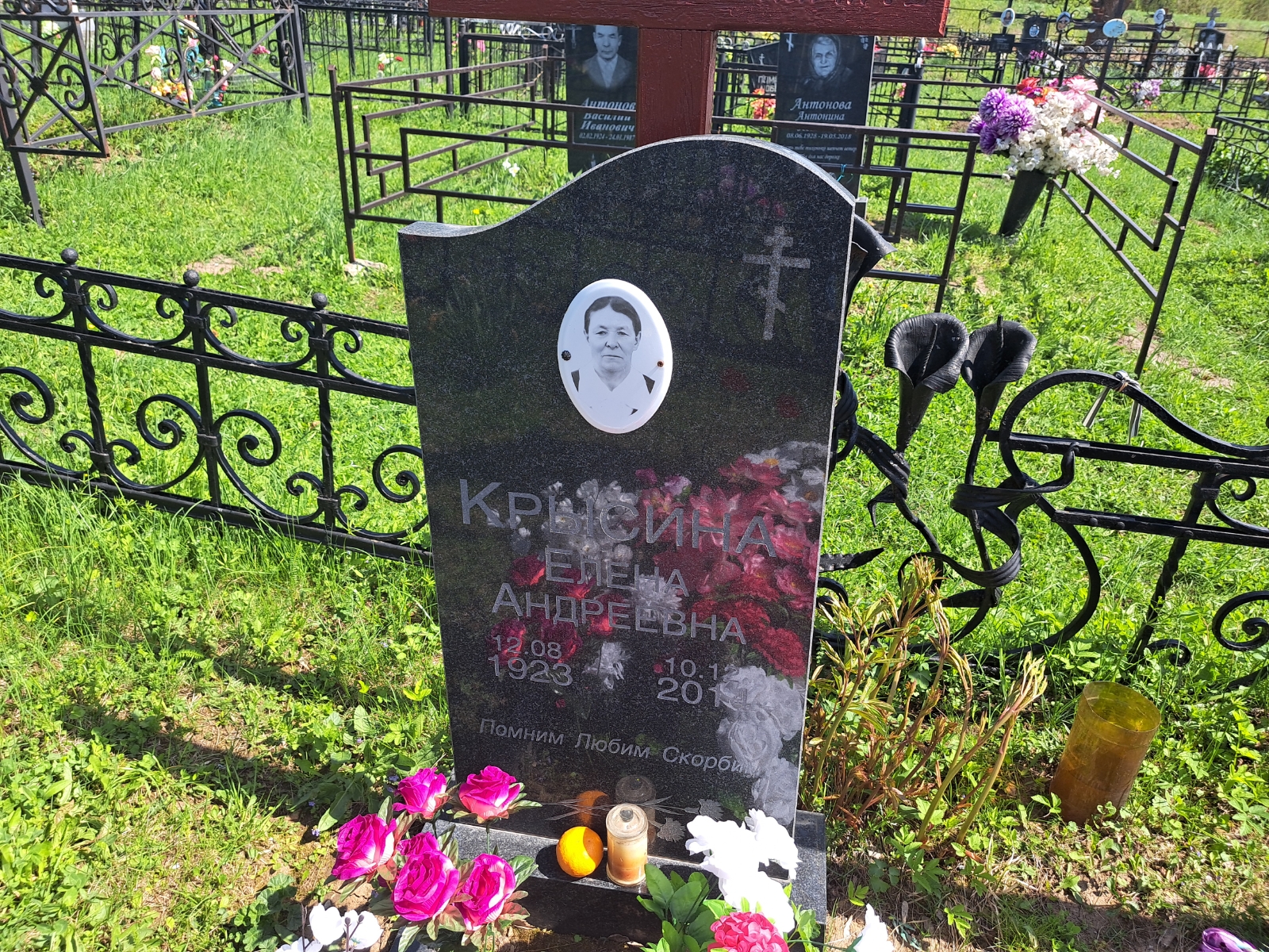 Крысина Елена Андреевна
