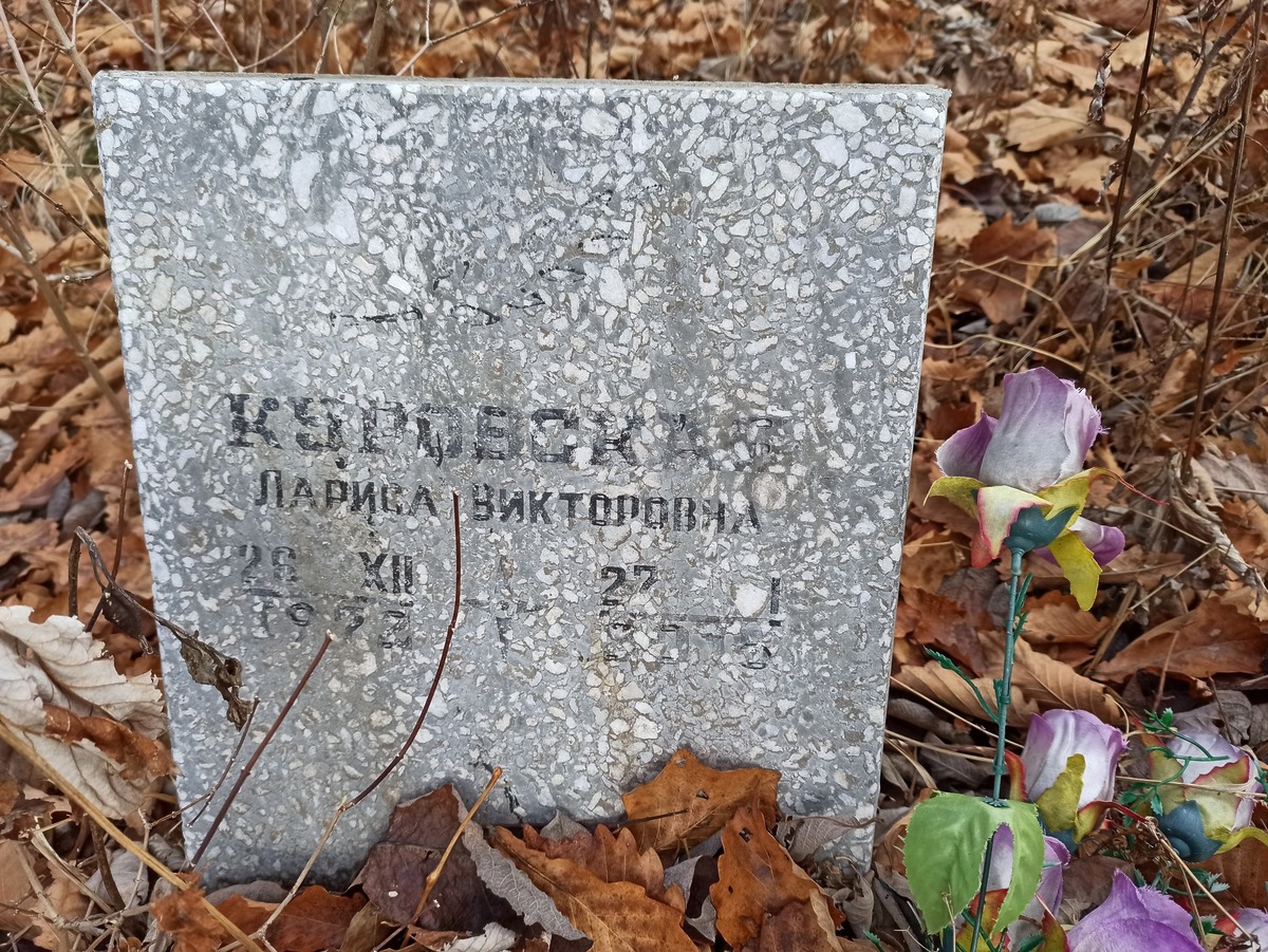 Куровская Лариса Викторовна