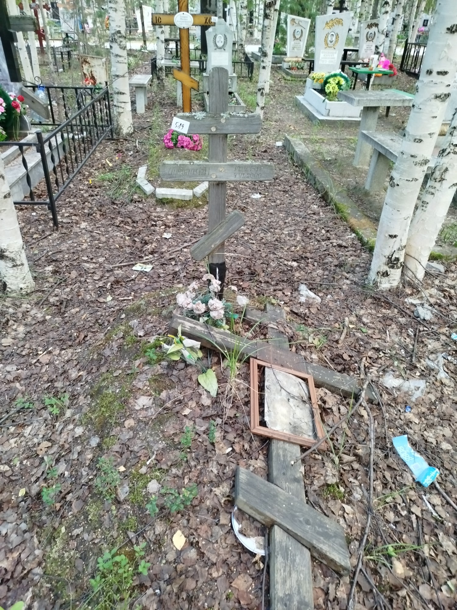 Лукина Ф Н