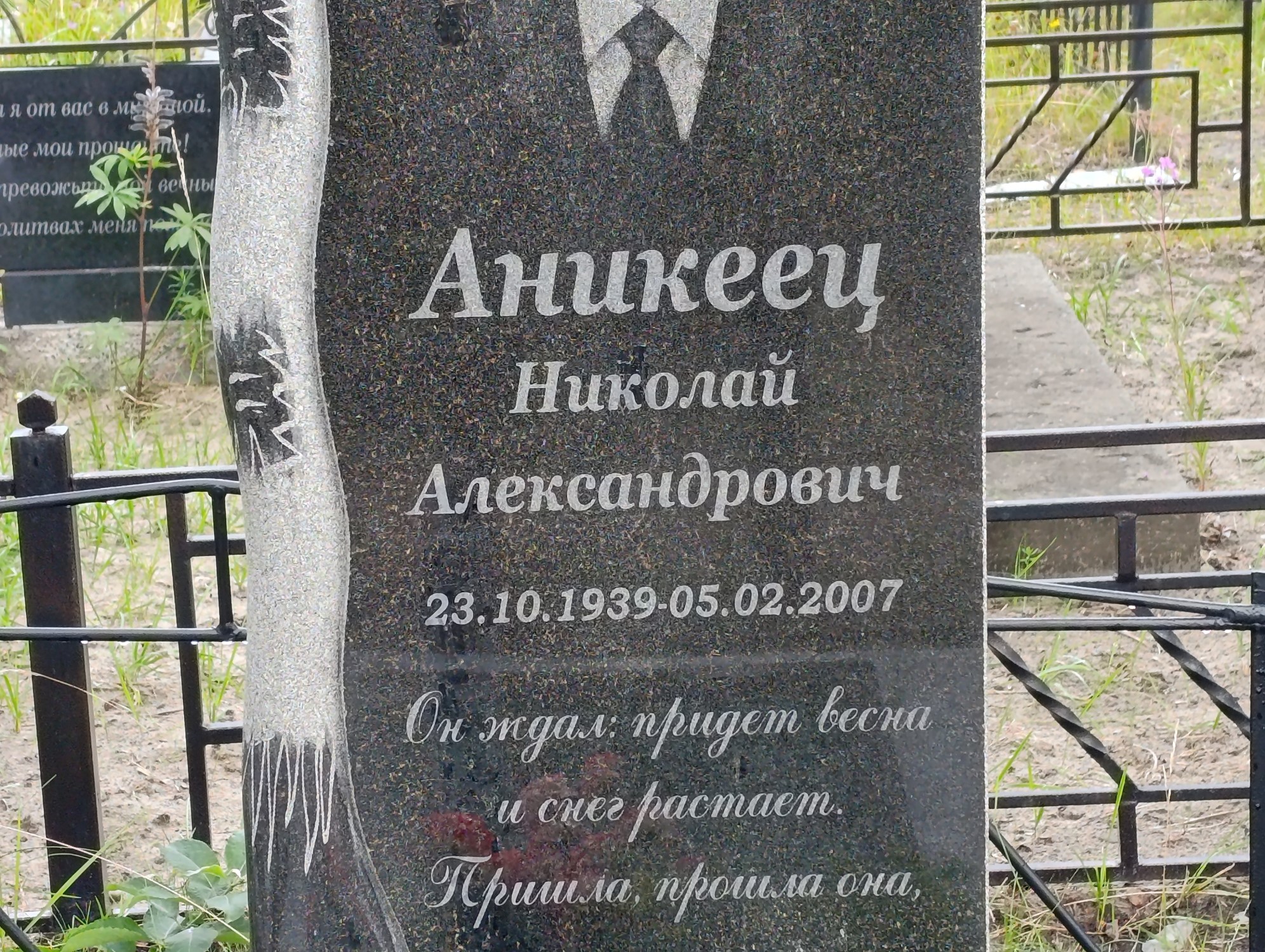 Аникеец Николай Александрович