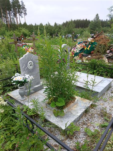 Зайцев Николай Петрович