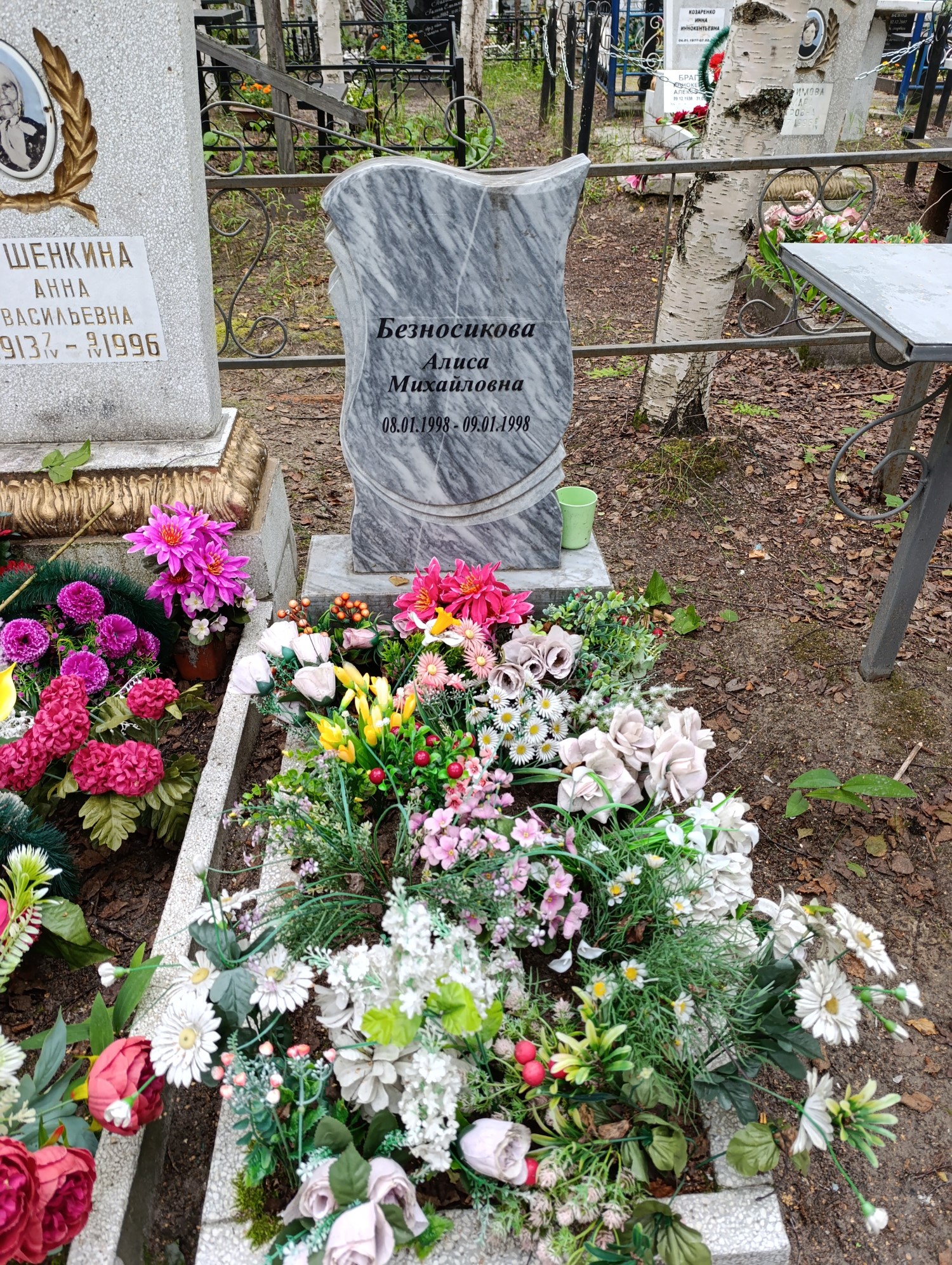 Безносикова Алиса Михайловна