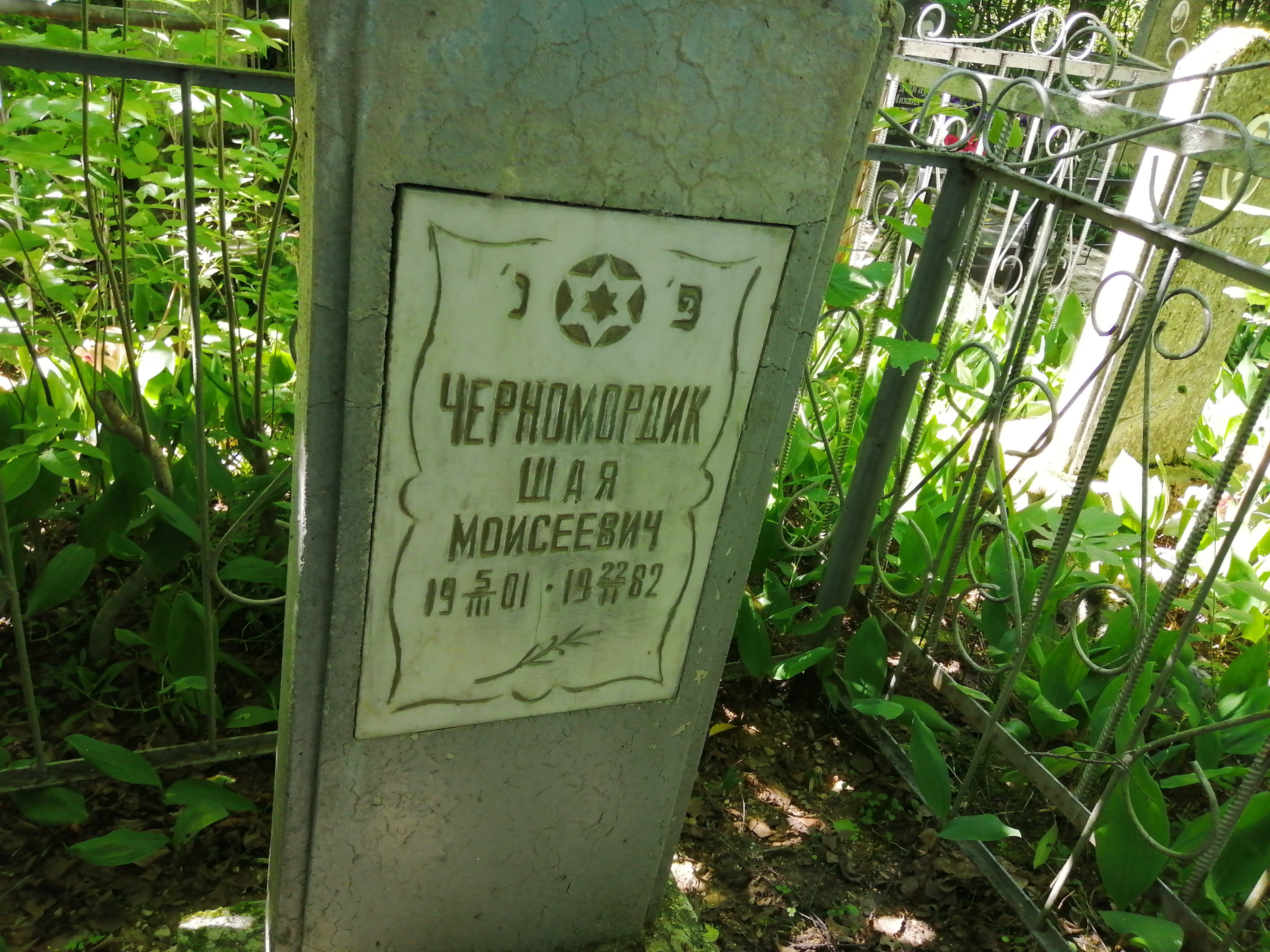 Черномордик Шая Моисеевич