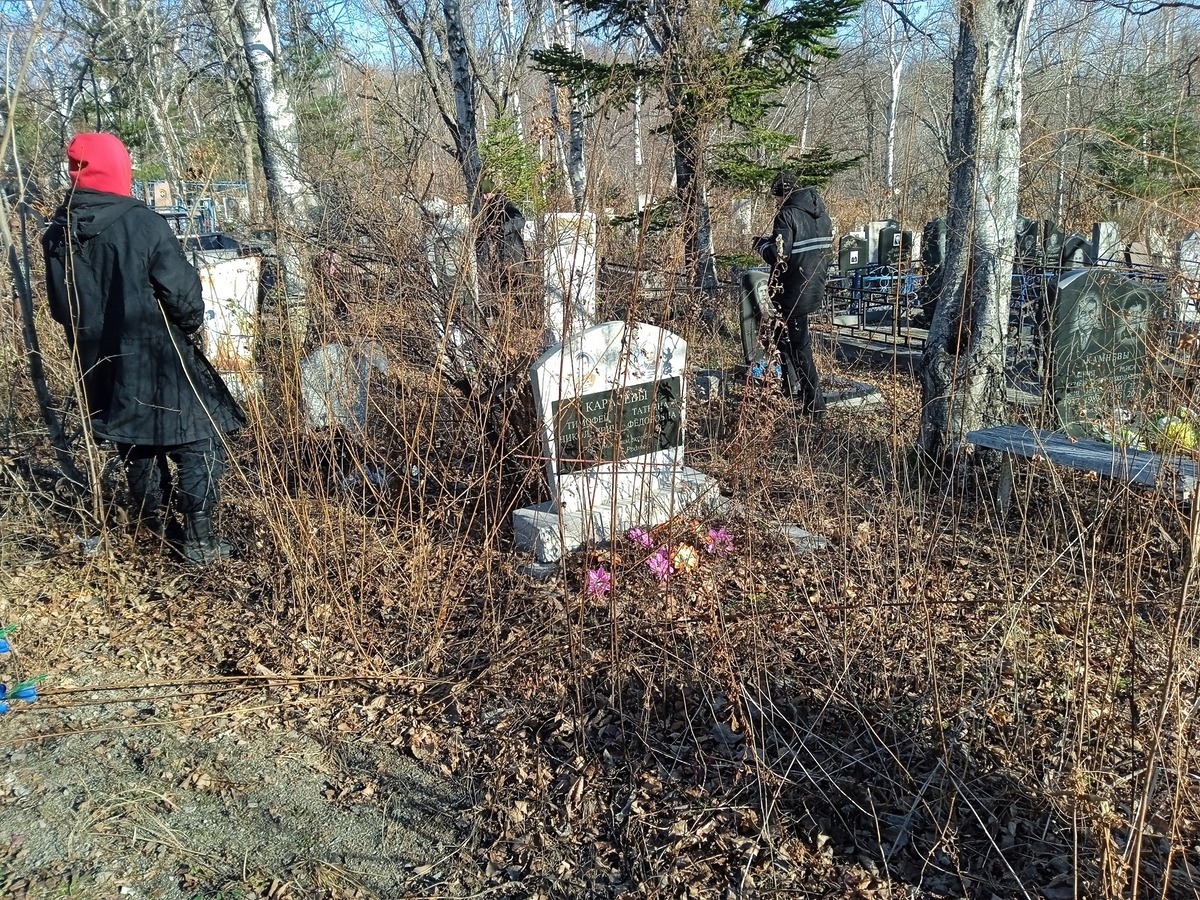 Карасев Тимофей Николаевич