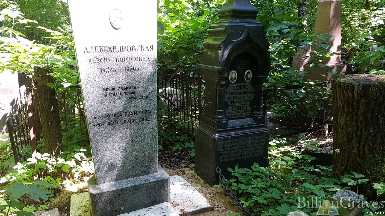 Александровская Дебора Борисовна