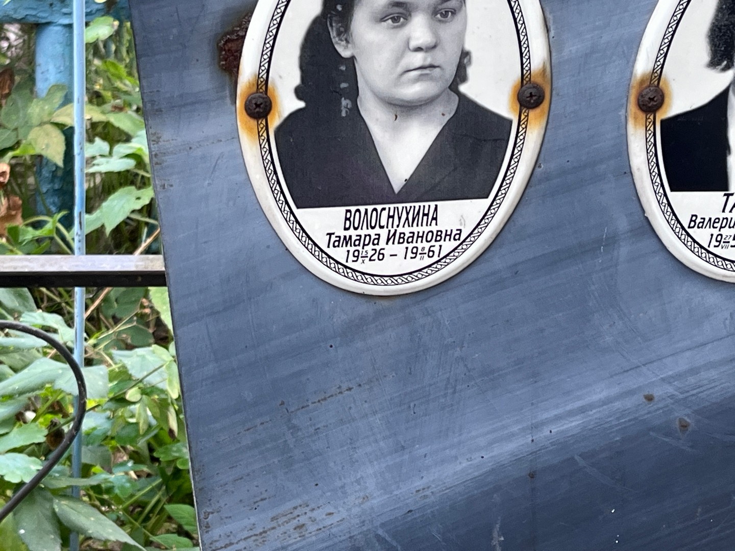 Волоснухина