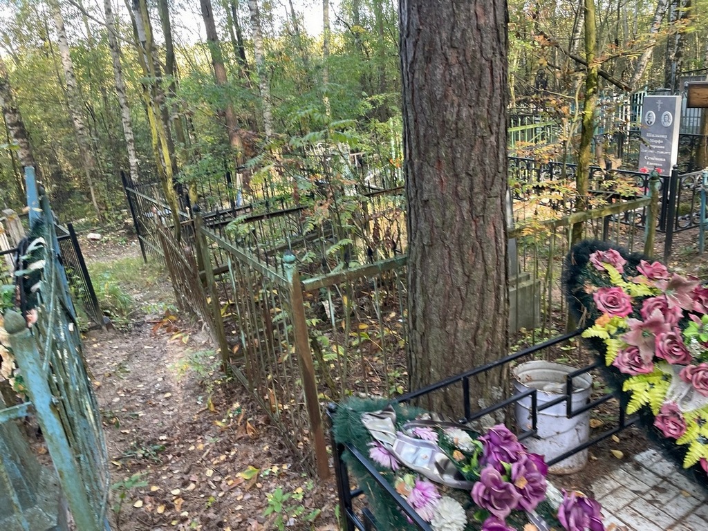Шишкина Мария Дмитриевна