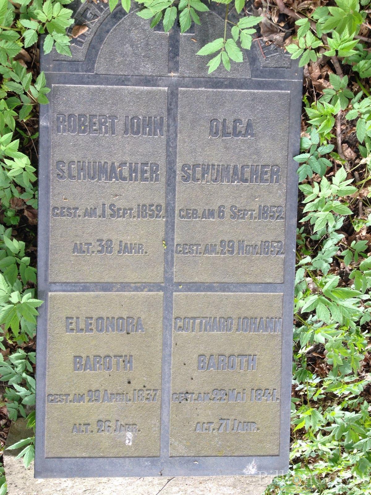 Schumacher Olga