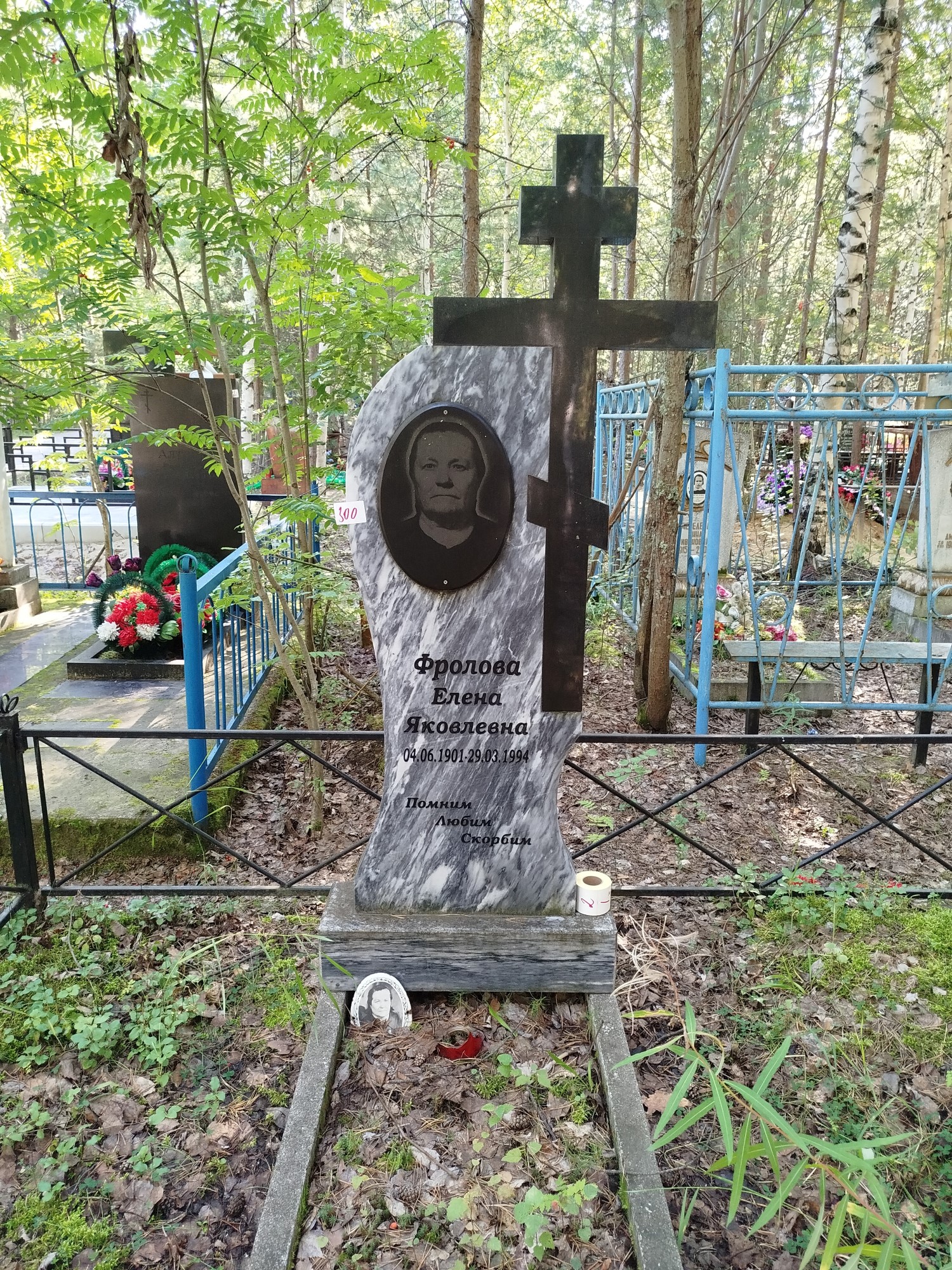 Фролова Елена Яковлевна