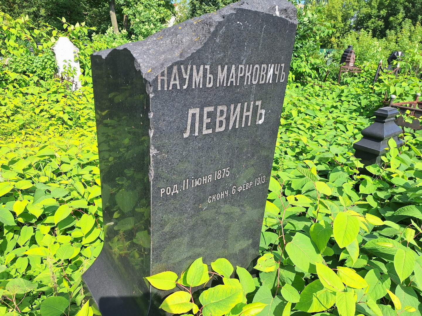 Наум Левин Маркович