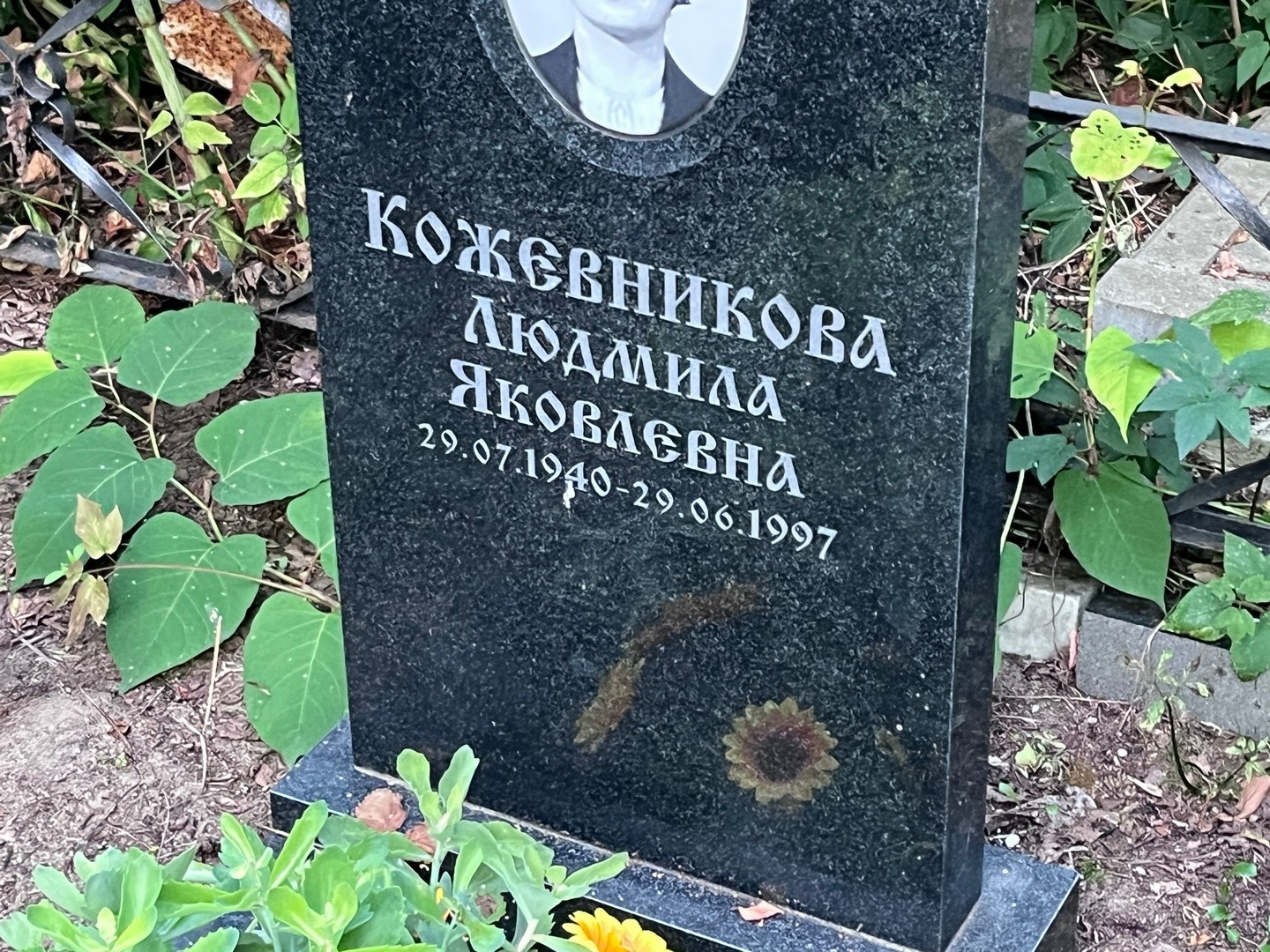 Кожевникова