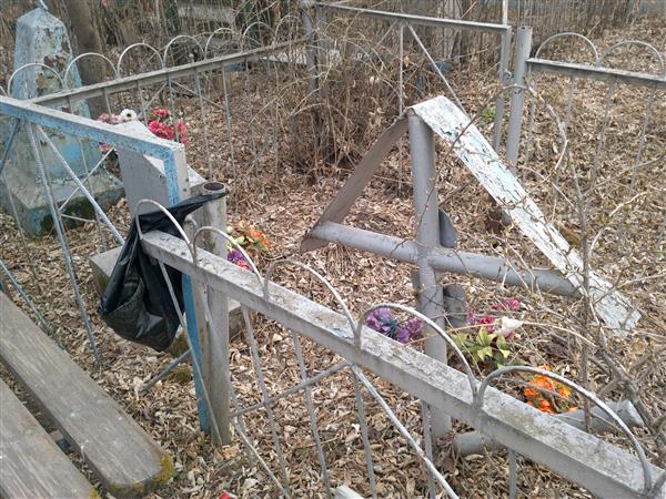 Авраменко Светлана