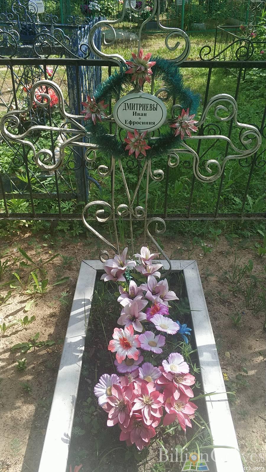 Дмитриева Александра Ивановна
